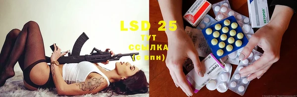 ECSTASY Кодинск