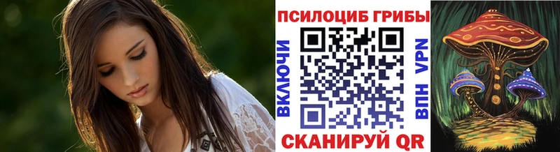 Псилоцибиновые грибы Psilocybine cubensis  Купить закладки  Электроугли 